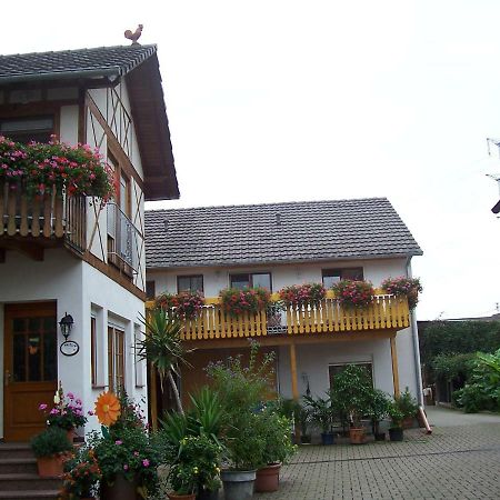 شقة Meyerhof Wittenweier المظهر الخارجي الصورة